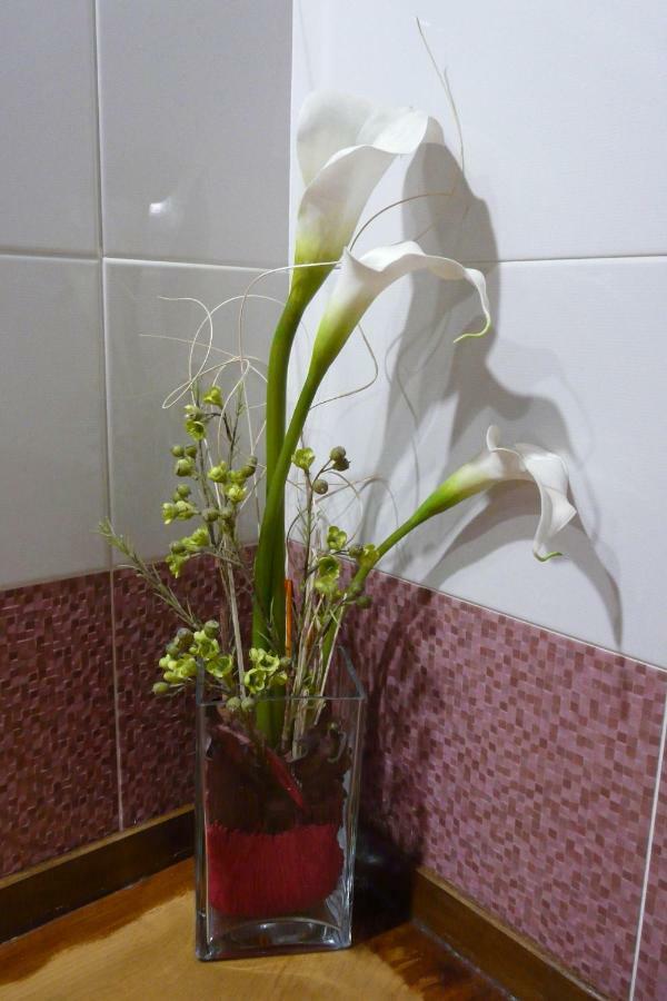 Apartamentos La Condesa Valmeo Extérieur photo